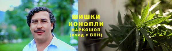 стаф Белоозёрский